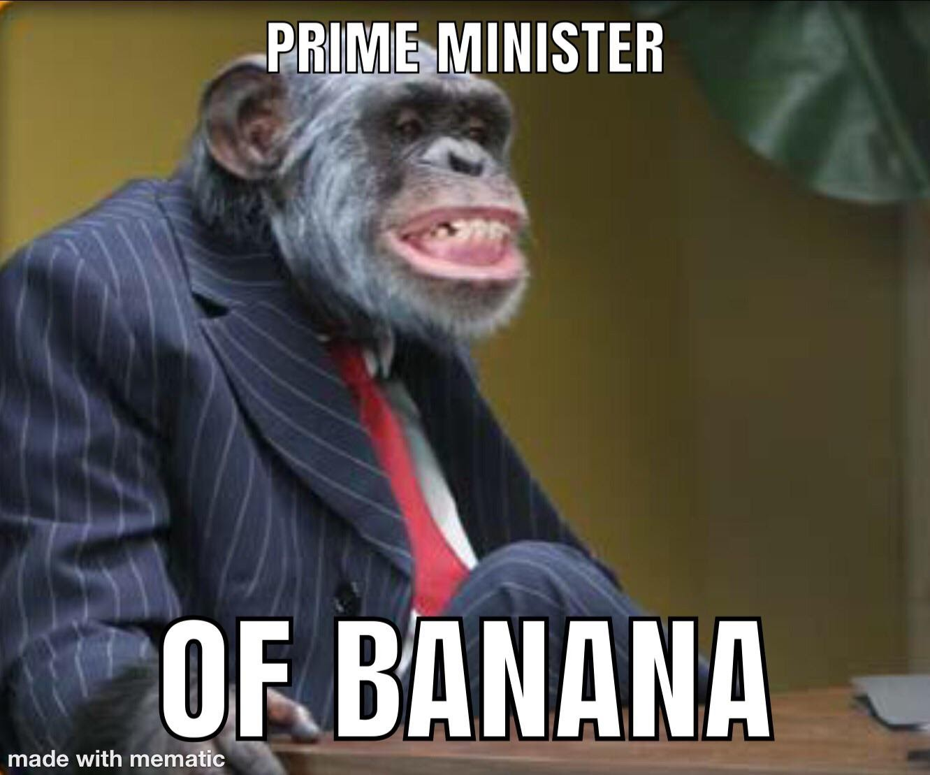Prime Minister of Banana